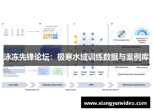 泳冻先锋论坛：极寒水域训练数据与案例库