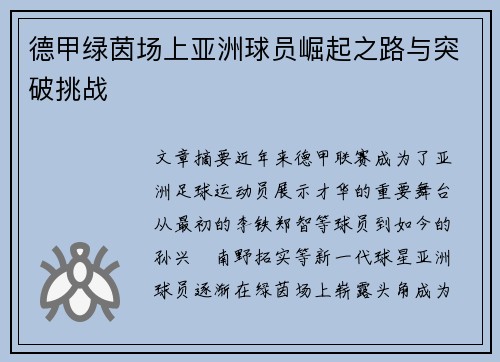 德甲绿茵场上亚洲球员崛起之路与突破挑战