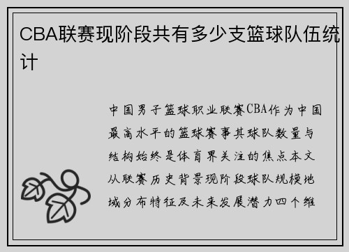 CBA联赛现阶段共有多少支篮球队伍统计